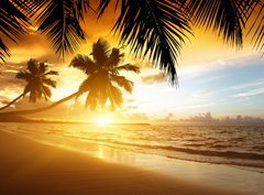 Fototapeta330 x 244  sunset on the beach of caribbean sea, 330 x 244 cm