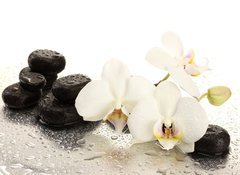 Samolepka fólie 100 x 73, 47301655 - Spa stones and orchid flowers, isolated on white. - Lázeské kameny a květiny orchideje, izolovaných na bílém.