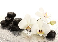 Samolepka flie 100 x 73, 47301655 - Spa stones and orchid flowers, isolated on white. - Lzesk kameny a kvtiny orchideje, izolovanch na blm.