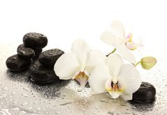 Fototapeta pltno 174 x 120, 47301655 - Spa stones and orchid flowers, isolated on white.