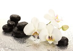 Fototapeta papr 184 x 128, 47301655 - Spa stones and orchid flowers, isolated on white.