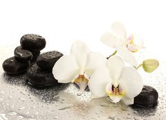 Samolepka flie 200 x 144, 47301655 - Spa stones and orchid flowers, isolated on white.