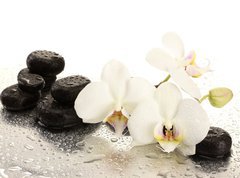 Samolepka flie 270 x 200, 47301655 - Spa stones and orchid flowers, isolated on white.