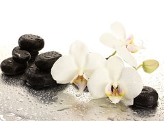 Fototapeta pltno 330 x 244, 47301655 - Spa stones and orchid flowers, isolated on white.