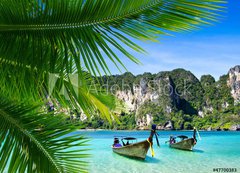 Samolepka flie 200 x 144, 47700383 - tropical sea - tropick moe