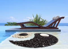 Fototapeta papr 160 x 116, 47893385 - piscine yin yang