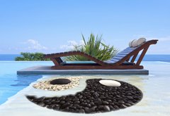 Fototapeta pltno 174 x 120, 47893385 - piscine yin yang