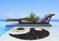 Fototapeta papr 184 x 128, 47893385 - piscine yin yang