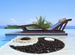 Samolepka flie 270 x 200, 47893385 - piscine yin yang