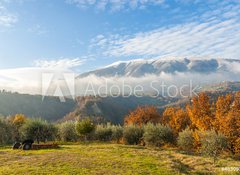 Samolepka flie 100 x 73, 48309327 - Autunno