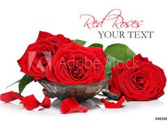 Fototapeta330 x 244  Red roses and petals in a wooden spa bowl, 330 x 244 cm