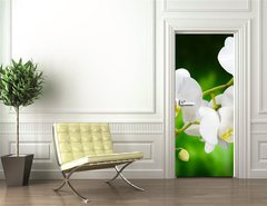 Samolepka na dvee flie 90 x 220  orchid, 90 x 220 cm