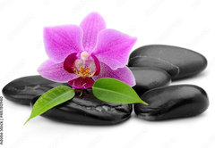 Samolepka fólie 145 x 100, 48780940 - orchid - orchidej