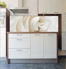 Fototapeta do kuchyn flie 180 x 60  white rose, 180 x 60 cm