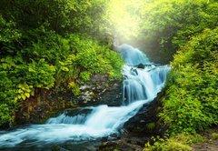 Samolepka flie 145 x 100  Creek in forest, 145 x 100 cm