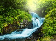 Fototapeta pltno 240 x 174, 48903421 - Creek in forest - Creek v lese