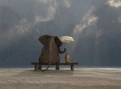 Fototapeta330 x 244  elephant and dog sit under the rain, 330 x 244 cm