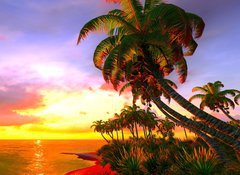 Samolepka flie 100 x 73, 49174614 - Hawaiian paradise