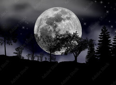 Samolepka flie 100 x 73, 492013525 - moon, tree and starry sky