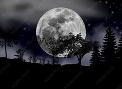 Fototapeta plátno 160 x 116, 492013525 - moon, tree and starry sky