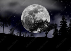 Samolepka flie 200 x 144, 492013525 - moon, tree and starry sky