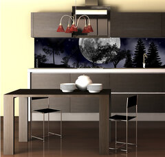 Fototapeta do kuchyně fólie 260 x 60, 492013525 - moon, tree and starry sky