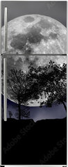 Samolepka na lednici fólie 80 x 200, 492013525 - moon, tree and starry sky