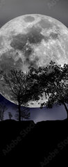 Samolepka na dveře fólie 90 x 220, 492013525 - moon, tree and starry sky