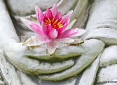 Fototapeta plátno 160 x 116, 49558982 - Buddha hands holding flower, close up - Buddha ruce držící květ, zblízka