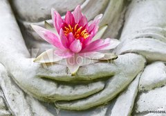 Fototapeta184 x 128  Buddha hands holding flower, close up, 184 x 128 cm