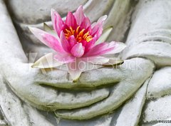 Fototapeta pltno 330 x 244, 49558982 - Buddha hands holding flower, close up