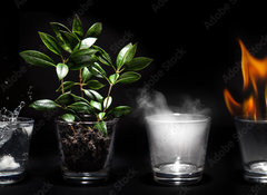 Samolepka flie 100 x 73, 49639277 - Elments de la nature