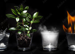 Fototapeta pltno 240 x 174, 49639277 - Elments de la nature - Prvky prody