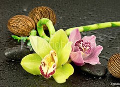 Samolepka flie 100 x 73, 49686637 - Orchidea