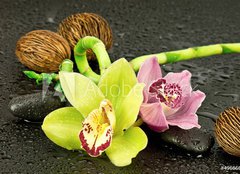 Fototapeta papír 160 x 116, 49686637 - Orchidea