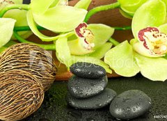 Fototapeta pltno 240 x 174, 49774572 - Kamienie spa - Lzn Kamienia