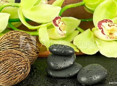 Samolepka flie 270 x 200, 49774572 - Kamienie spa - Lzn Kamienia
