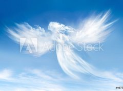 Fototapeta vliesov 270 x 200, 49775771 - Angel in the clouds