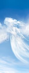 Samolepka na dvee flie 90 x 220, 49775771 - Angel in the clouds