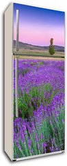 Samolepka na lednici flie 80 x 200, 49777064 - Sunset over a summer lavender field in Tihany, Hungary