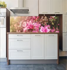 Fototapeta do kuchyn flie 180 x 60, 49992650 - Spring Azaleas in Soft Sunlight