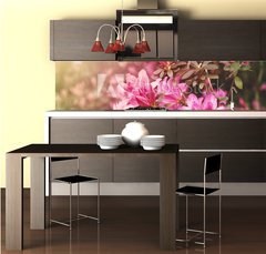 Fototapeta do kuchyně fólie 260 x 60, 49992650 - Spring Azaleas in Soft Sunlight - Jarní azalky v měkkém slunečním světle