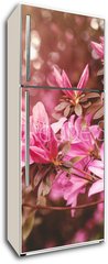 Samolepka na lednici flie 80 x 200, 49992650 - Spring Azaleas in Soft Sunlight