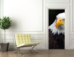 Samolepka na dvee flie 90 x 220  American Bald Eagle (Haliaeetus leucocephalus), 90 x 220 cm