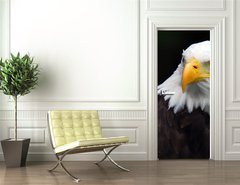 Samolepka na dvee flie 90 x 220, 5007416 - American Bald Eagle (Haliaeetus leucocephalus) - Americk orel blohlav (Haliaeetus leucocephalus)