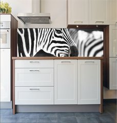 Fototapeta do kuchyn flie 180 x 60, 50298303 - monochrome photo  - detail head zebra in ZOO - monochromatick fotografie