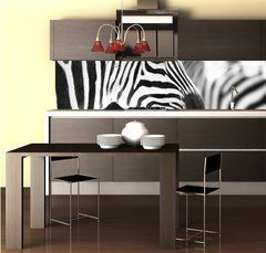 Fototapeta do kuchyn flie 260 x 60  monochrome photo  detail head zebra in ZOO, 260 x 60 cm
