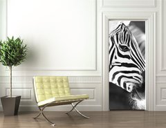 Samolepka na dvee flie 90 x 220  monochrome photo  detail head zebra in ZOO, 90 x 220 cm