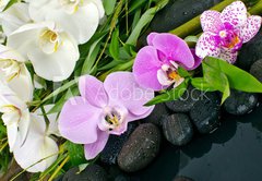 Fototapeta174 x 120  Wellness Concept: orchids, bamboo, stone, water, 174 x 120 cm