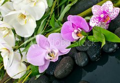 Fototapeta184 x 128  Wellness Concept: orchids, bamboo, stone, water, 184 x 128 cm